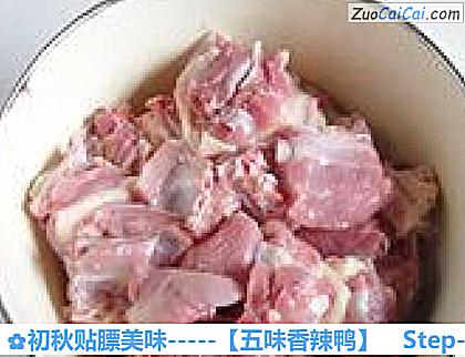初秋贴膘美味－［五味香辣鸭］做法第一步骤