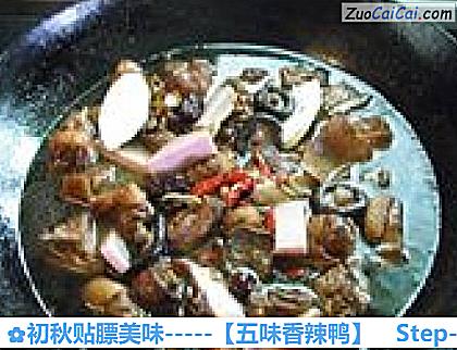 初秋贴膘美味－［五味香辣鸭］做法第十步骤