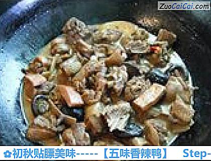 初秋贴膘美味－［五味香辣鸭］做法第十一步骤