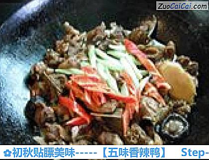 初秋贴膘美味－［五味香辣鸭］做法第十二步骤