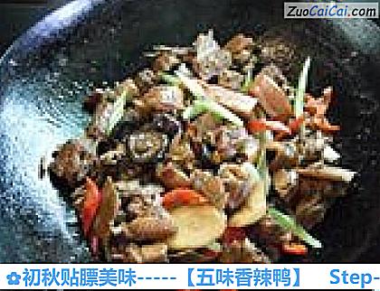 初秋贴膘美味－［五味香辣鸭］做法第十三步骤