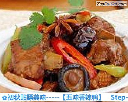 初秋贴膘美味－［五味香辣鸭］做法第十四步骤