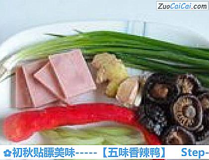 初秋贴膘美味－［五味香辣鸭］做法第二步骤