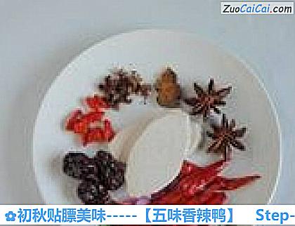 初秋贴膘美味－［五味香辣鸭］做法第三步骤
