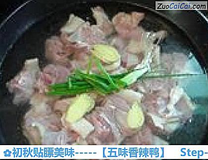 初秋贴膘美味－［五味香辣鸭］做法第四步骤