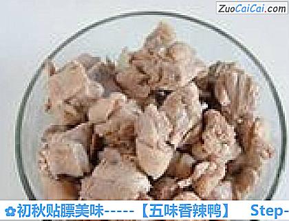 初秋贴膘美味－［五味香辣鸭］做法第五步骤