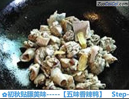 初秋贴膘美味－［五味香辣鸭］做法第七步骤