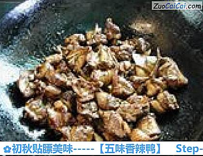 初秋贴膘美味－［五味香辣鸭］做法第八步骤