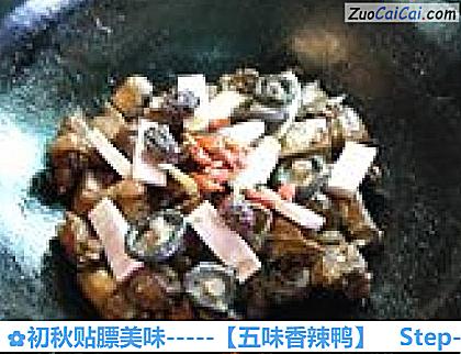 初秋贴膘美味－［五味香辣鸭］做法第九步骤