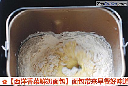 西洋香菜鲜奶面包做法第一步骤