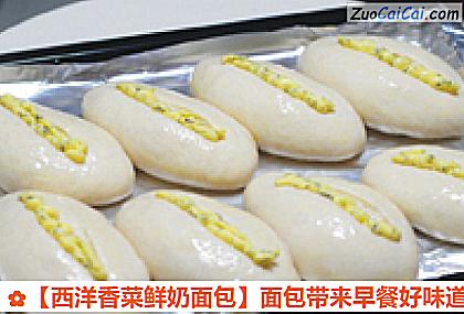 西洋香菜鲜奶面包做法第十步骤