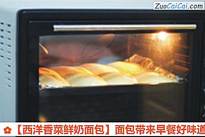 西洋香菜鲜奶面包做法第十一步骤