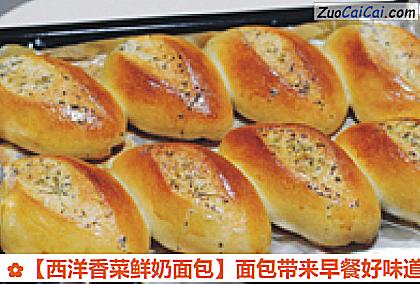 西洋香菜鲜奶面包做法第十二步骤