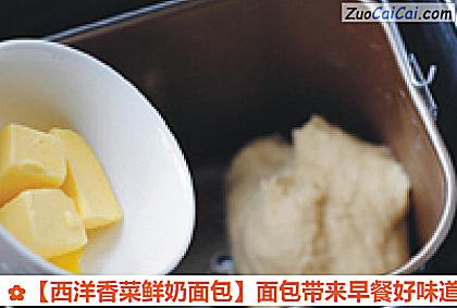 西洋香菜鲜奶面包做法第二步骤