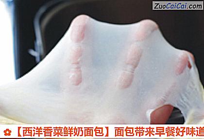 西洋香菜鲜奶面包做法第三步骤