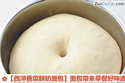 西洋香菜鲜奶面包做法第四步骤