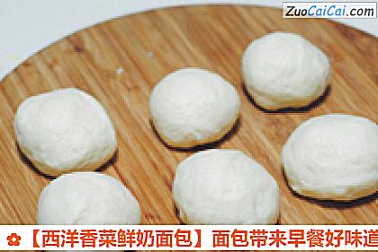 西洋香菜鲜奶面包做法第五步骤