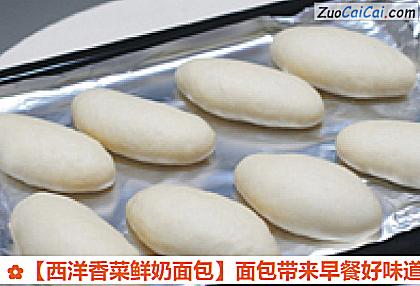 西洋香菜鲜奶面包做法第七步骤