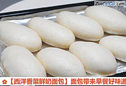 西洋香菜鲜奶面包做法第八步骤