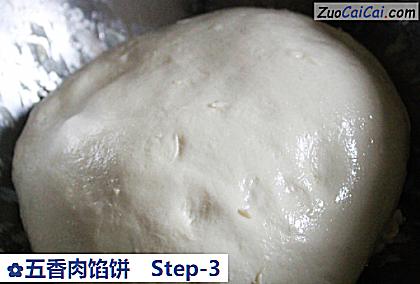 五香肉馅饼做法第三步骤