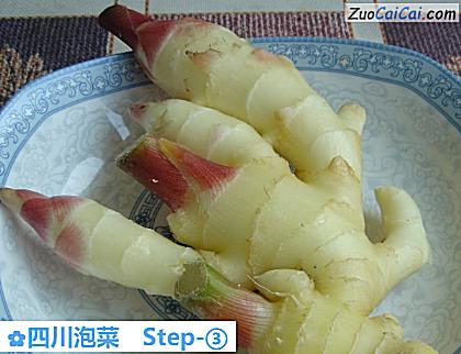 四川泡菜做法第三步骤