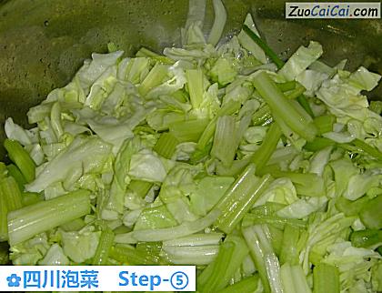 四川泡菜做法第五步骤