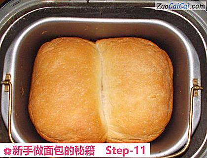 新手做面包的秘籍做法第十一步骤