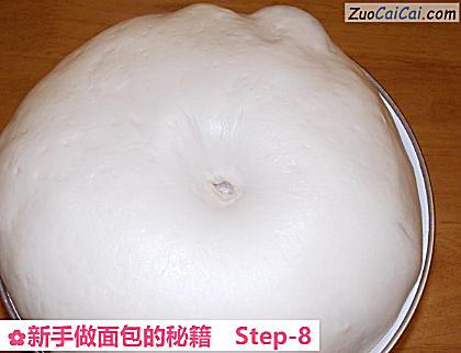 新手做面包的秘籍做法第八步骤