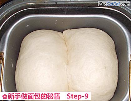 新手做面包的秘籍做法第九步骤