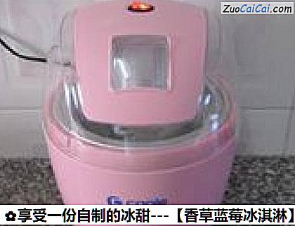 香草蓝莓冰淇淋做法第十四步骤