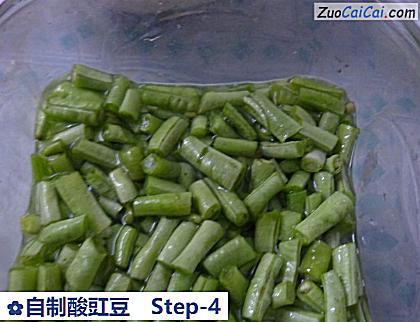 自制酸豇豆做法第四步骤