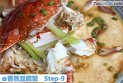 香蒸豆腐蟹做法第九步骤