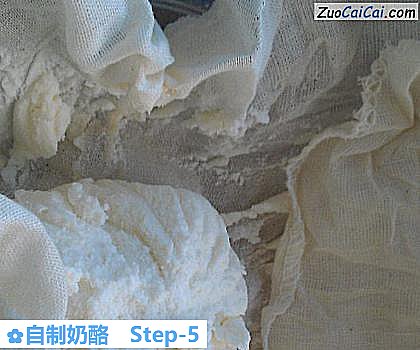 自制奶酪做法第五步骤