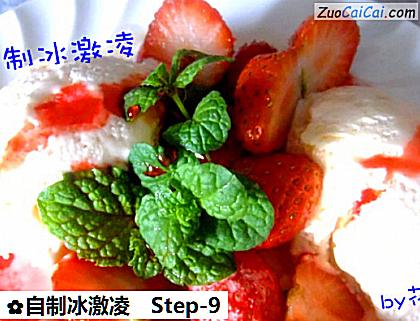 自制冰激凌做法第九步骤