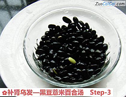 黑豆薏米百合汤做法第三步骤