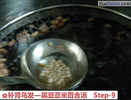 黑豆薏米百合汤做法第九步骤
