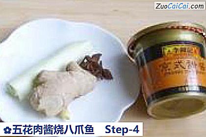五花肉酱烧八爪鱼做法第四步骤