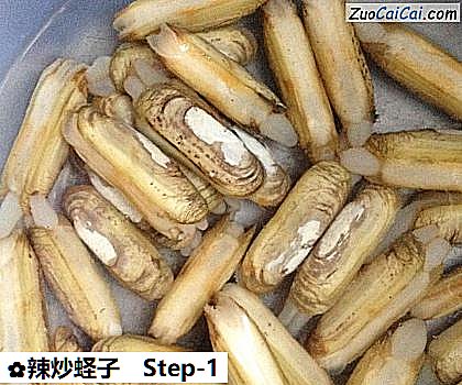 辣炒蛏子做法第一步骤