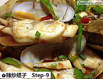 辣炒蛏子做法第九步骤