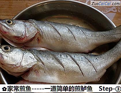 家常煎鱼做法第三步骤