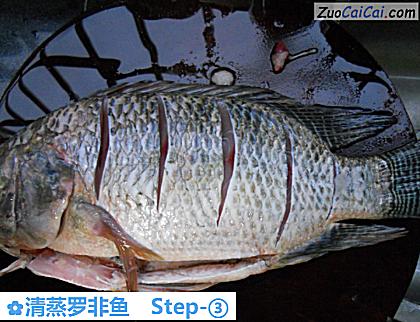 清蒸罗非鱼做法第三步骤