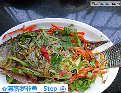 清蒸罗非鱼做法第四步骤