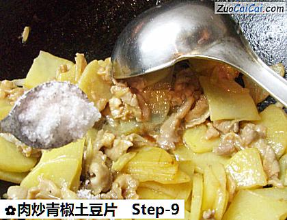 肉炒青椒土豆片做法第九步骤