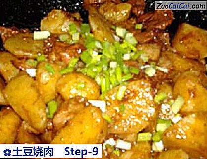 土豆烧肉成品图1
