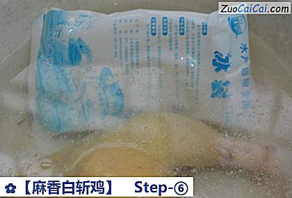 ［麻香白斩鸡］做法第六步骤