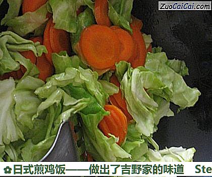 日式煎鸡饭——做出了吉野家的味道做法第十步骤