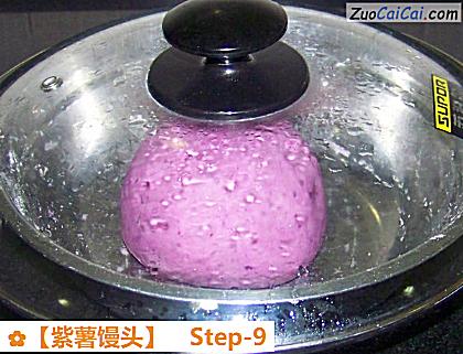 紫薯馒头做法第九步骤