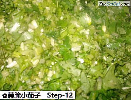 蒜腌小茄子做法第十二步骤