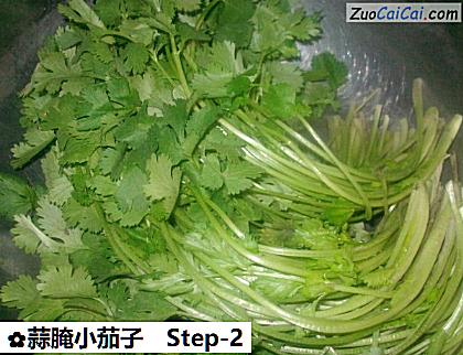 蒜腌小茄子做法第二步骤