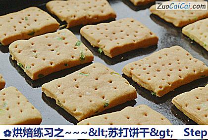 烘焙练习之~'苏打饼干'做法第六步骤